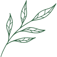 Clary Sage
